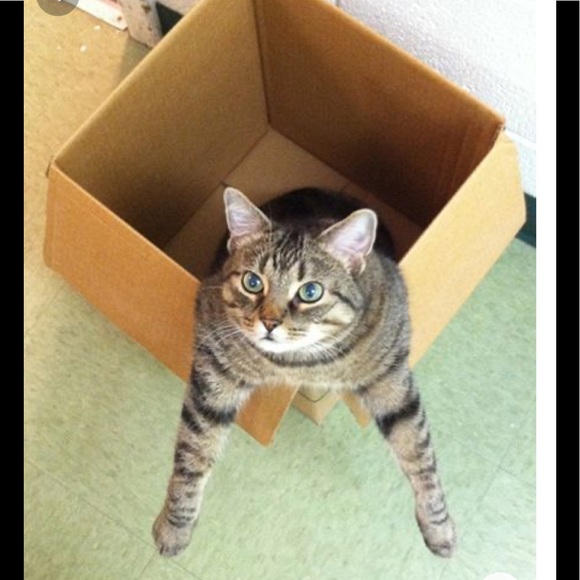 🌿I Pack With Care & Bubble Wrap🌿 - Picture 3 of 16